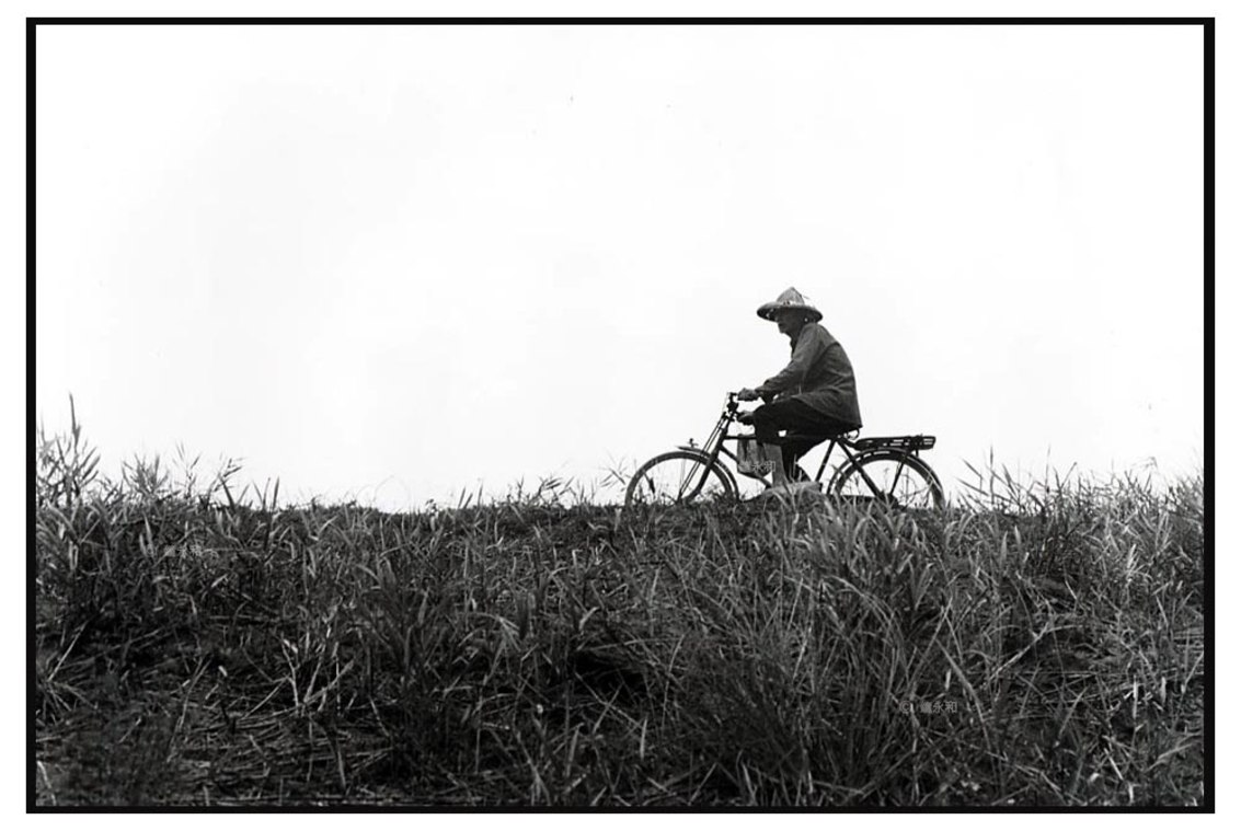 堤防上騎單車的老農夫