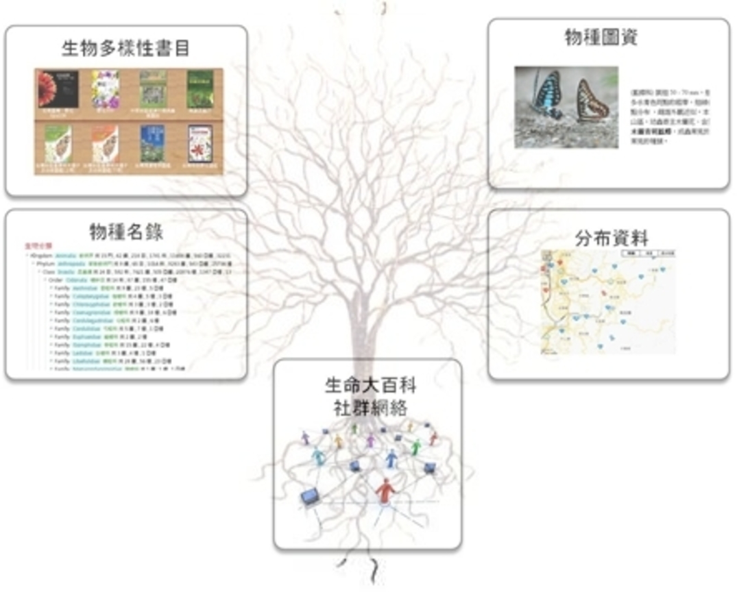 生物多樣性資訊整合樹狀圖