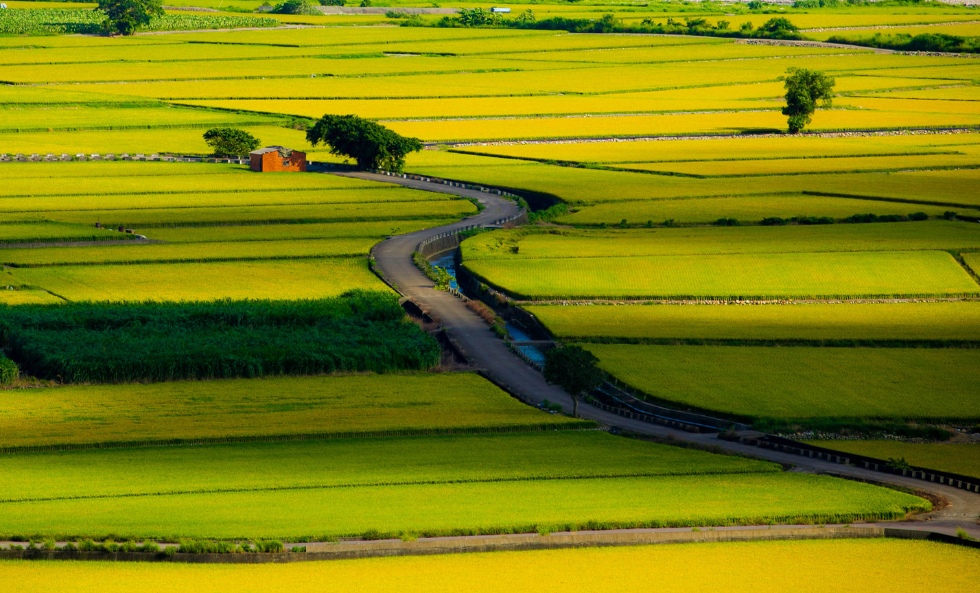 大自然的畫布~忘憂大道