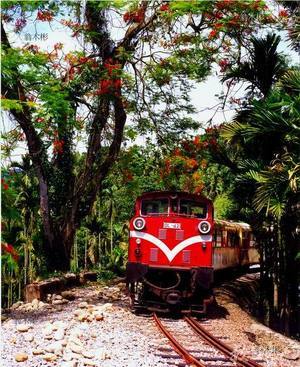 阿里山森林小火車