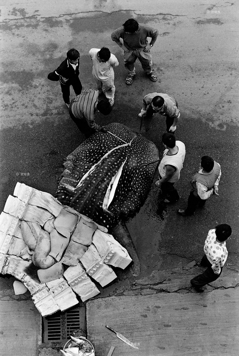 沈昭良　印象南方澳