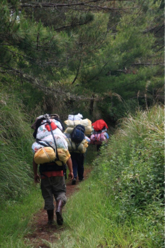 永遠的山青（南湖大山）．（2009） 黃培凱攝