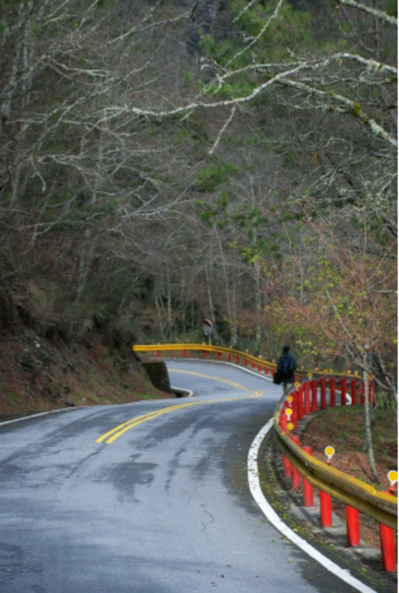 孤獨的山行者（花蓮縣秀林鄉中部橫貫公路）．（2008） 陳科廷攝