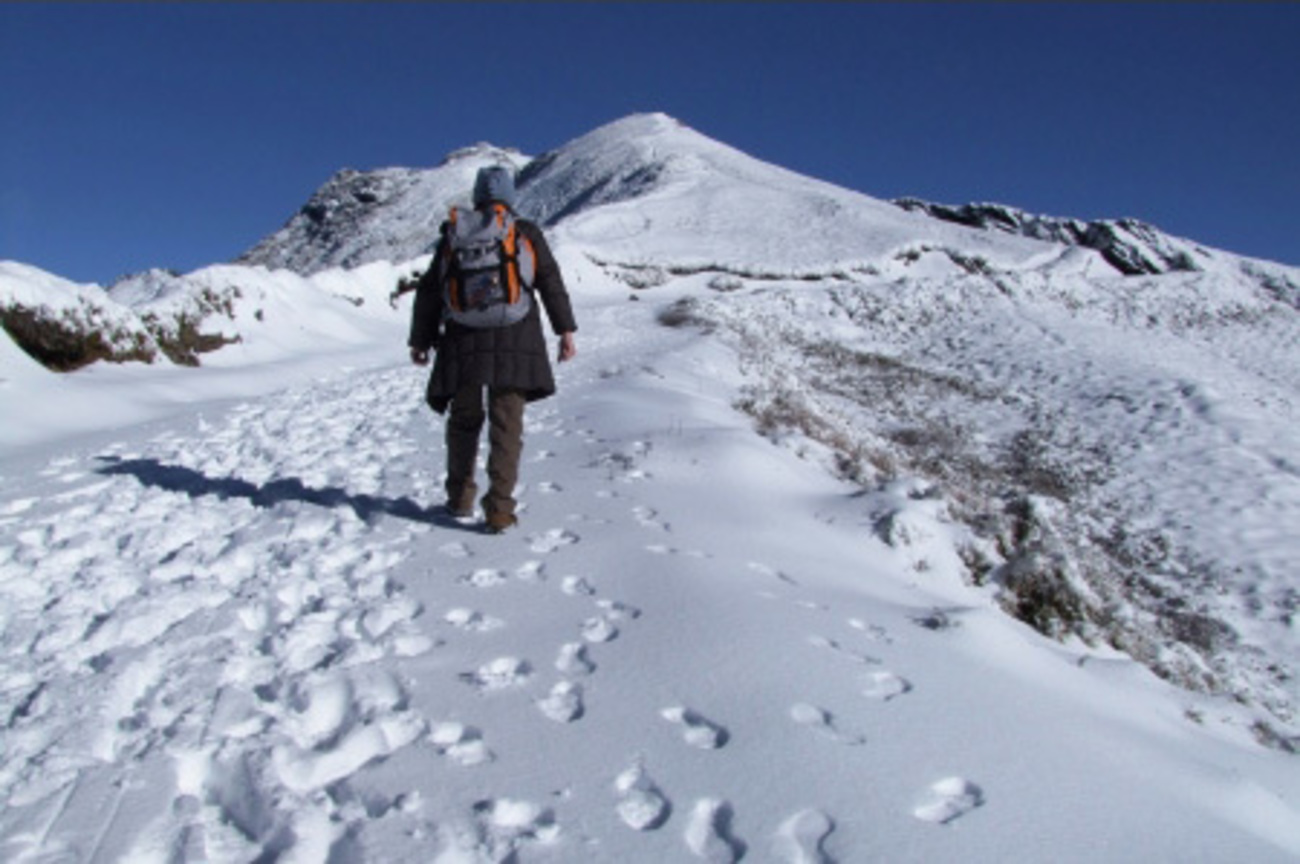獨行（合歡山）．（2010） 林芳榮攝