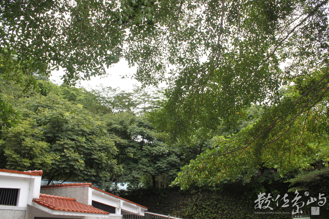 二水的花草樹木以其自然型態散發美感