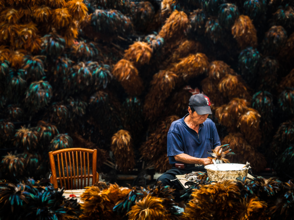 優選  林清湶─消失的進行式