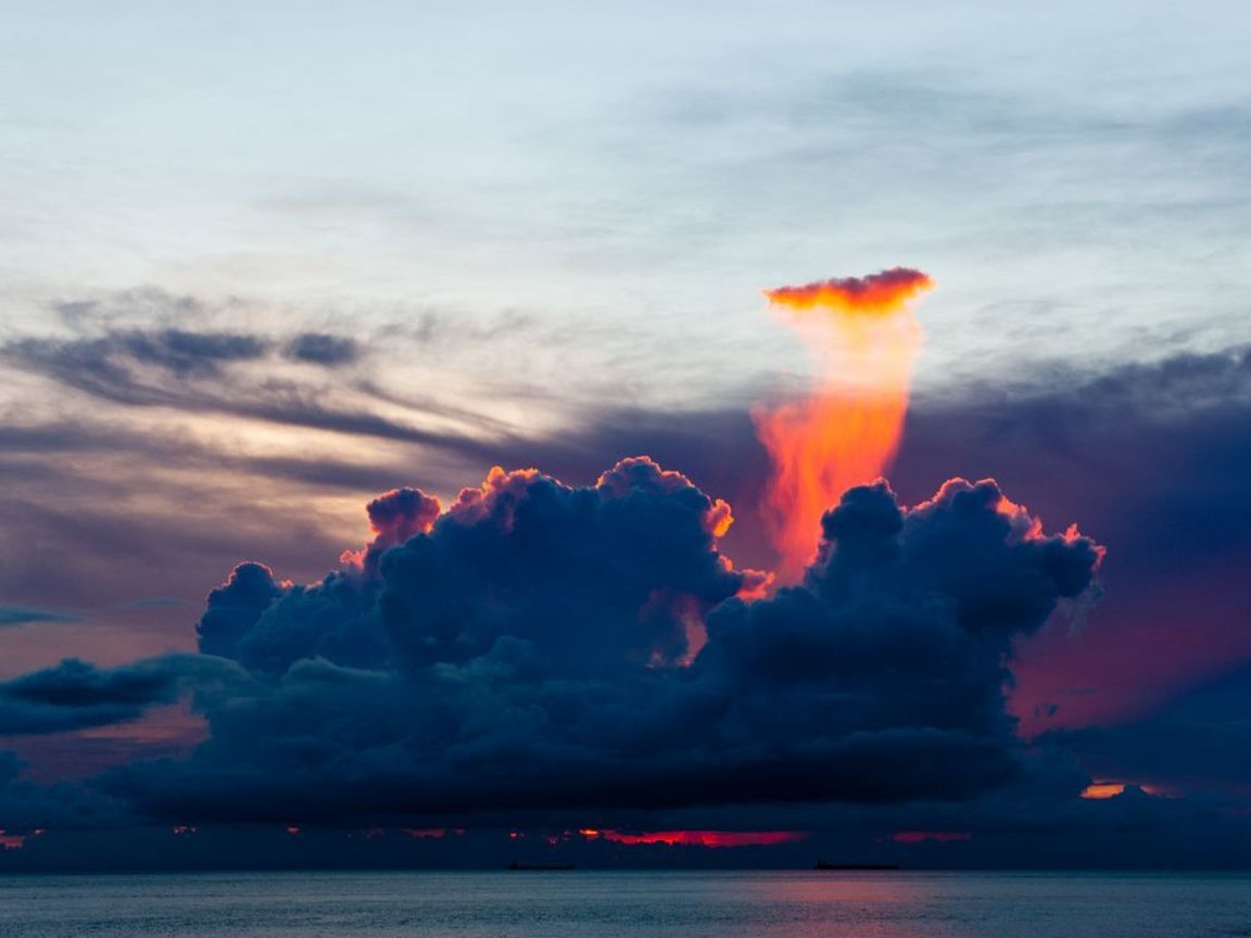 優選  謝明芳 ─蘭嶼風災
