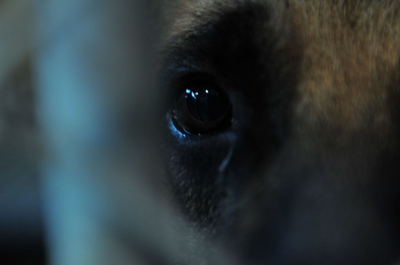 佳作  陳俊呈─為了大家好