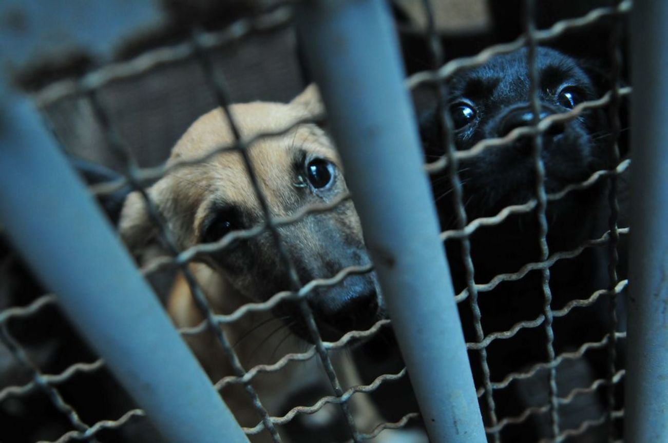 佳作  陳俊呈─為了大家好