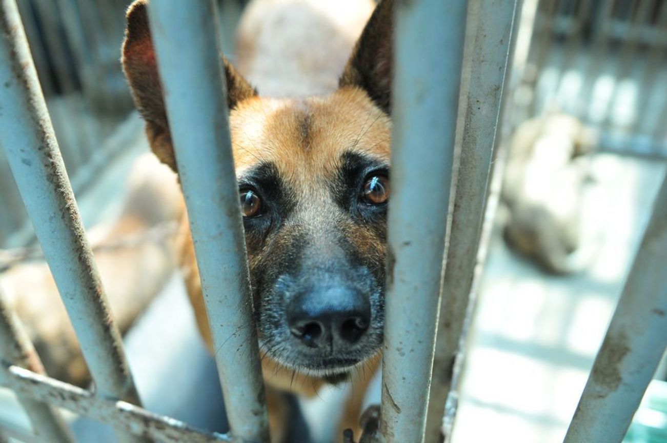 佳作  陳俊呈─為了大家好