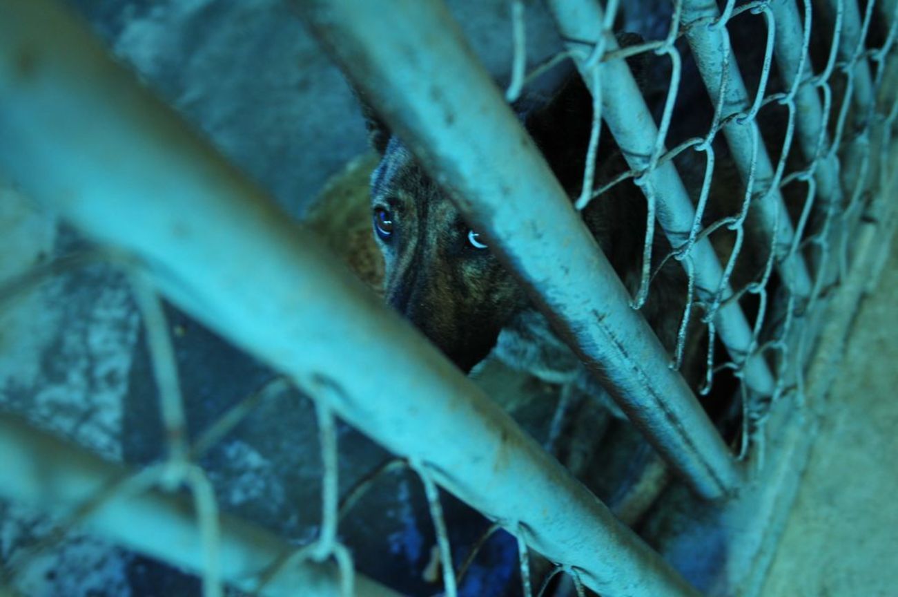 佳作  陳俊呈─為了大家好