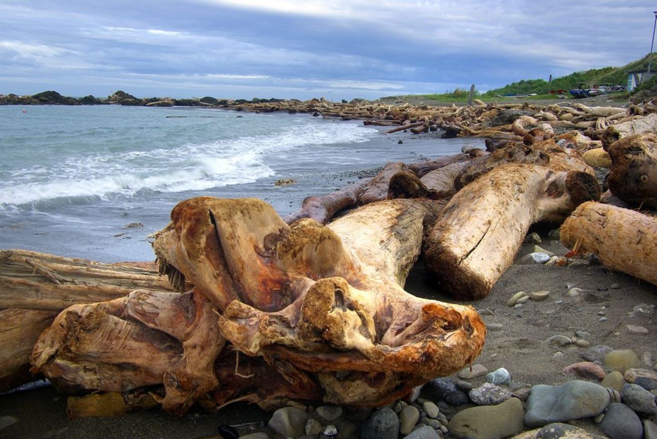 佳作  賴能榮─大地悲歌