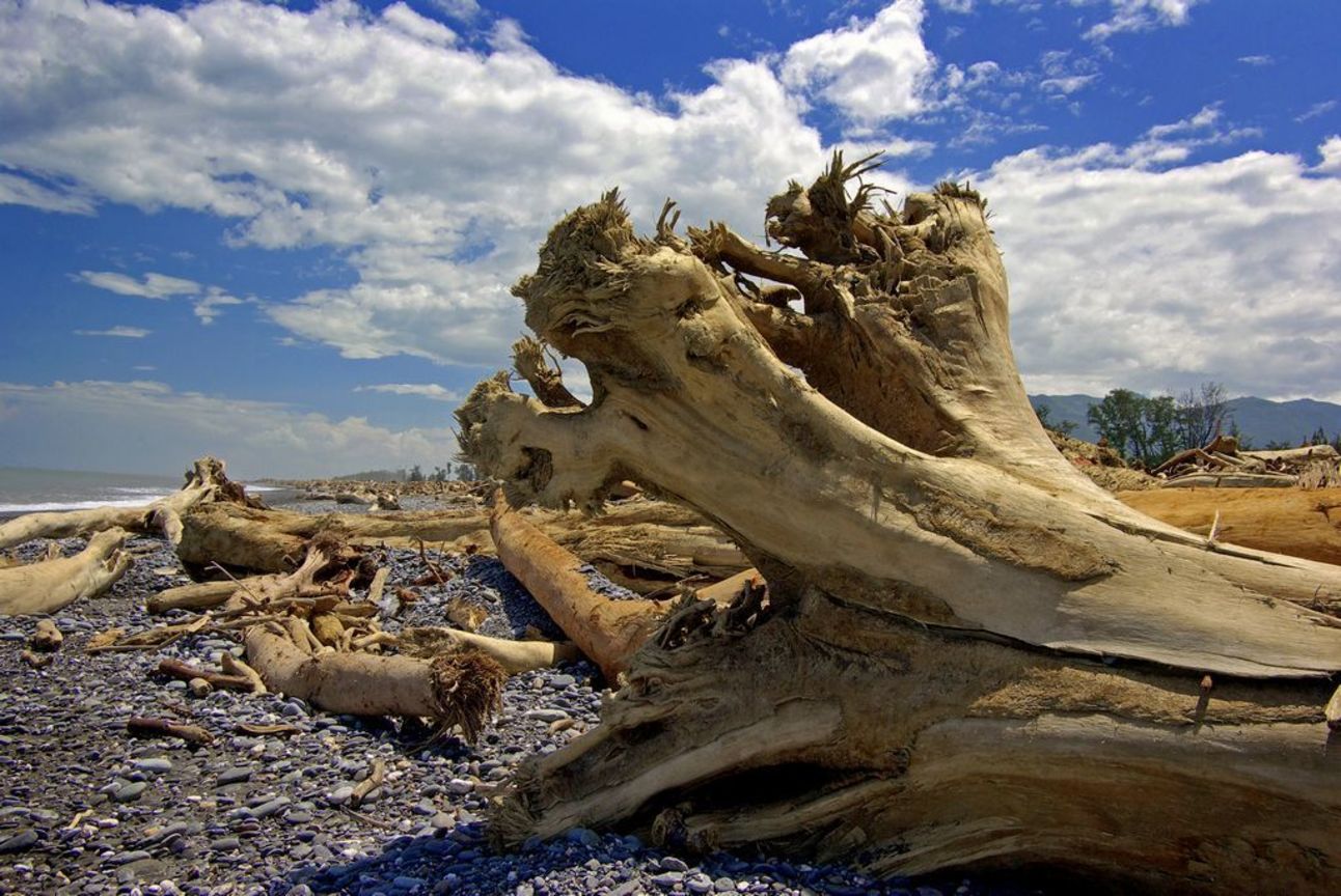佳作  賴能榮─大地悲歌