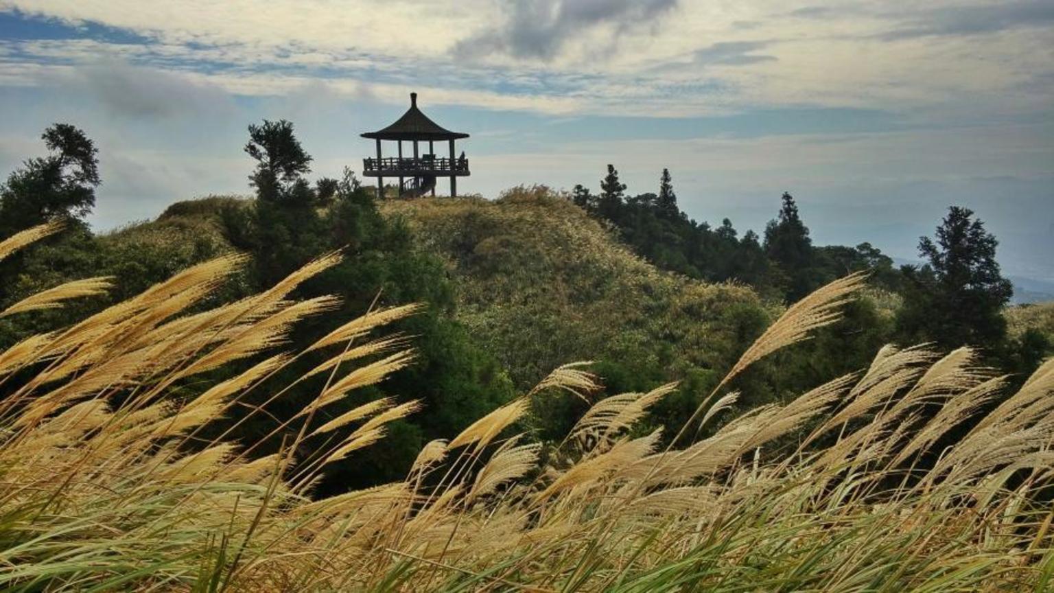 網路人氣獎─堅持