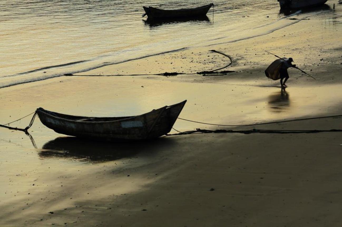 佳作─滿載而歸