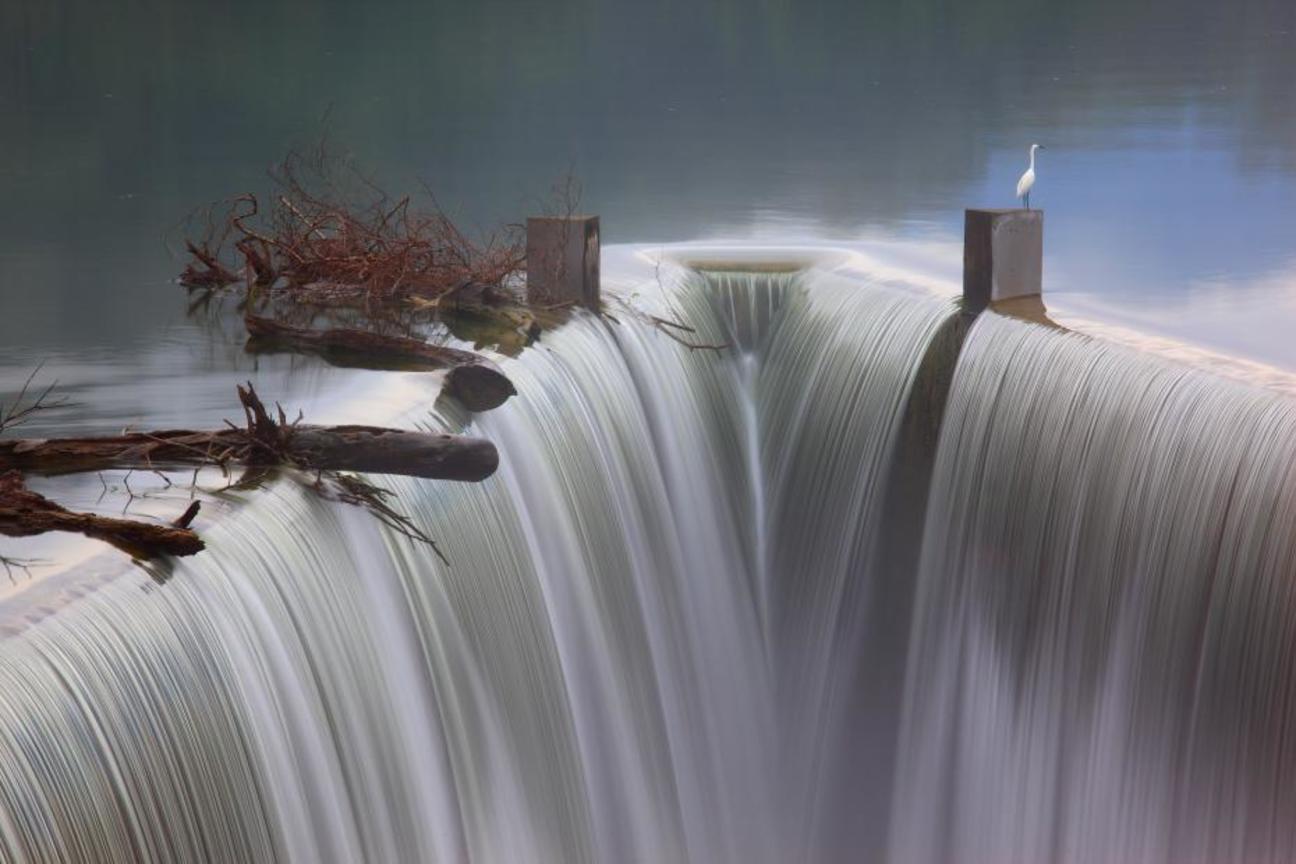 第一名─雖動猶靜