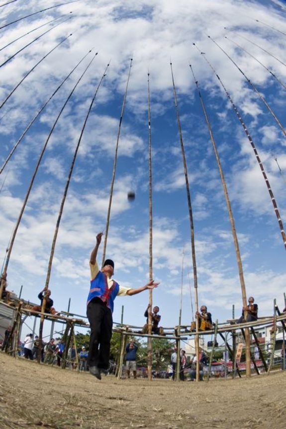 屏東縣春日鄉－刺福球