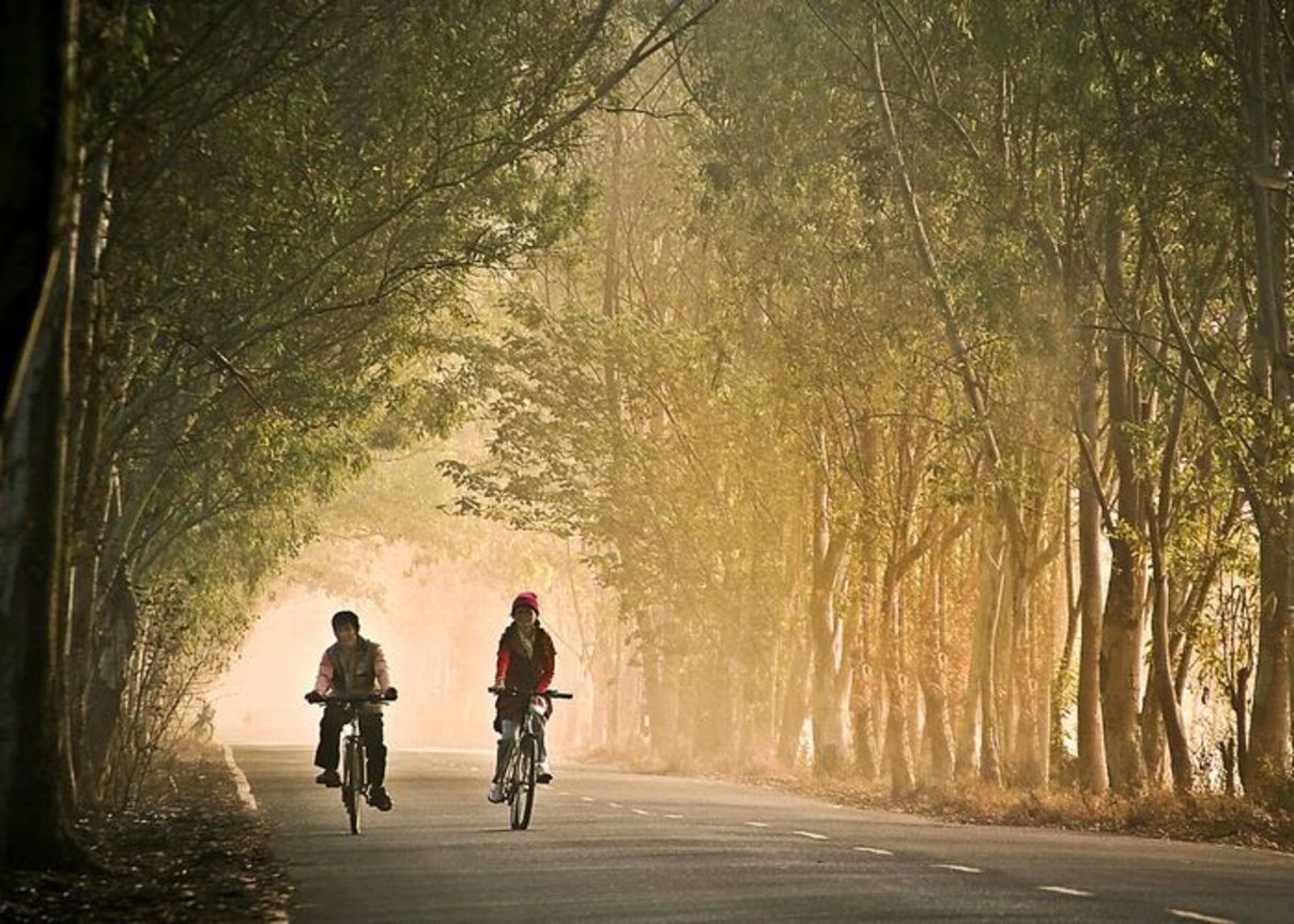 屏東縣萬巒鄉－綠色隧道