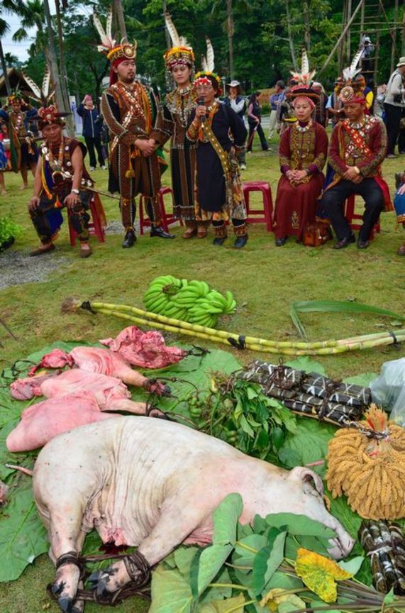 屏東縣瑪家鄉－檢視聘禮