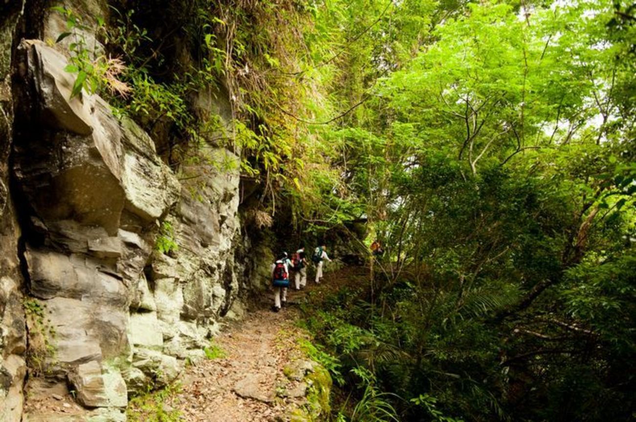 花蓮縣卓溪鄉－健行瓦拉米
