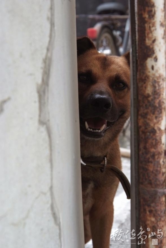 家庭成員<BR>圖．文/a8715367 