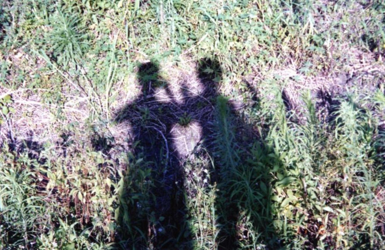 勿忘影子中人<BR>陳昱名 /攝