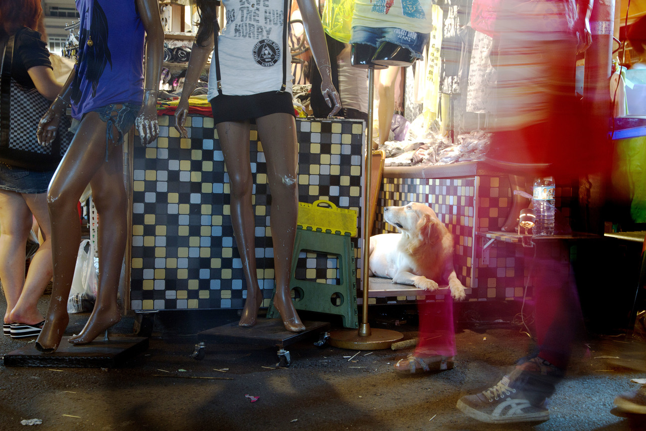 優選　林佑霖－夜市看熱鬧