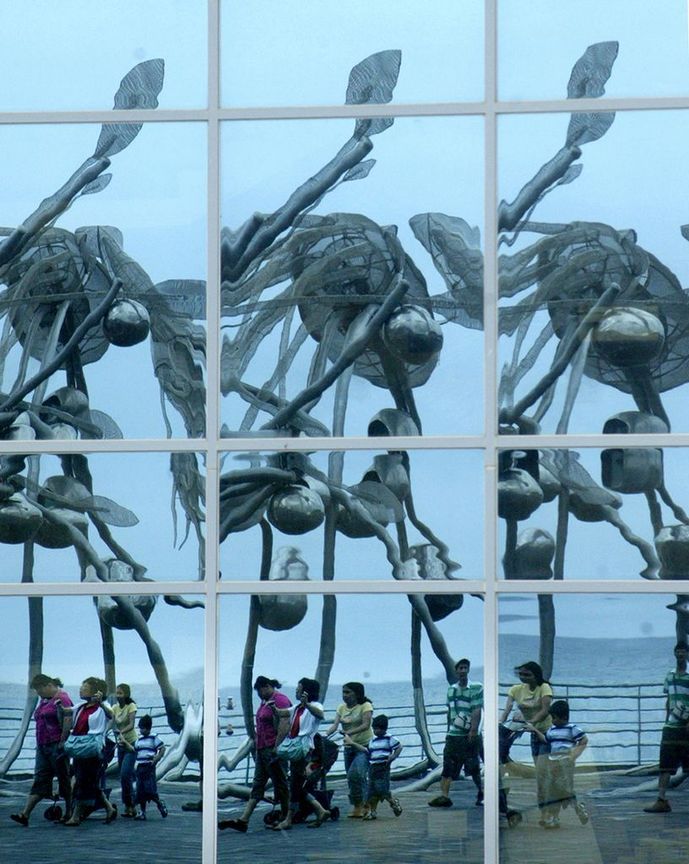 產業與人文組第二名─柯承惠  一起探索海洋