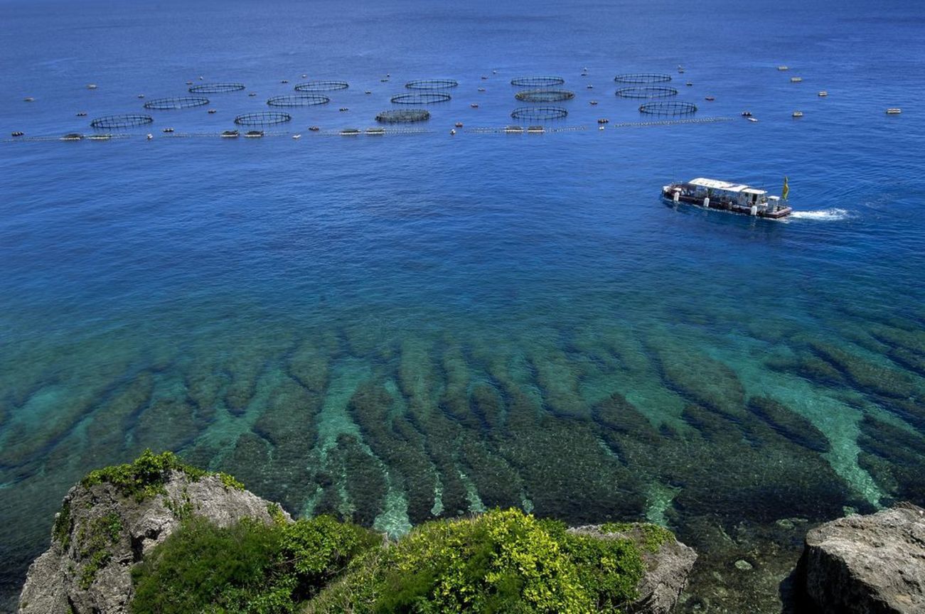 產業與人文組佳作─ 曾翎喬 水上養殖場