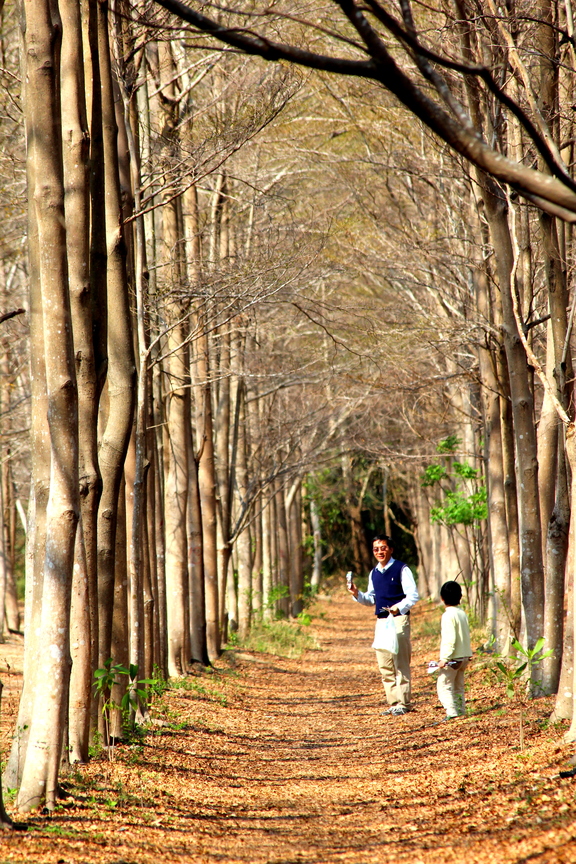 林蔭步道