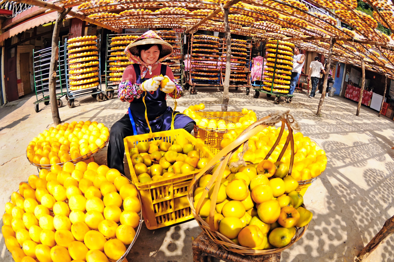 新竹縣新埔鎮－曬柿