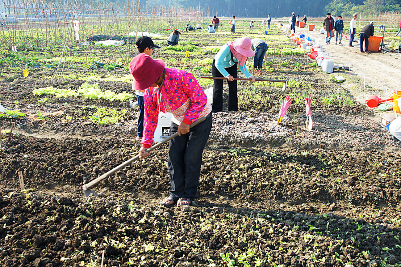 臺南市永康區－假日農夫