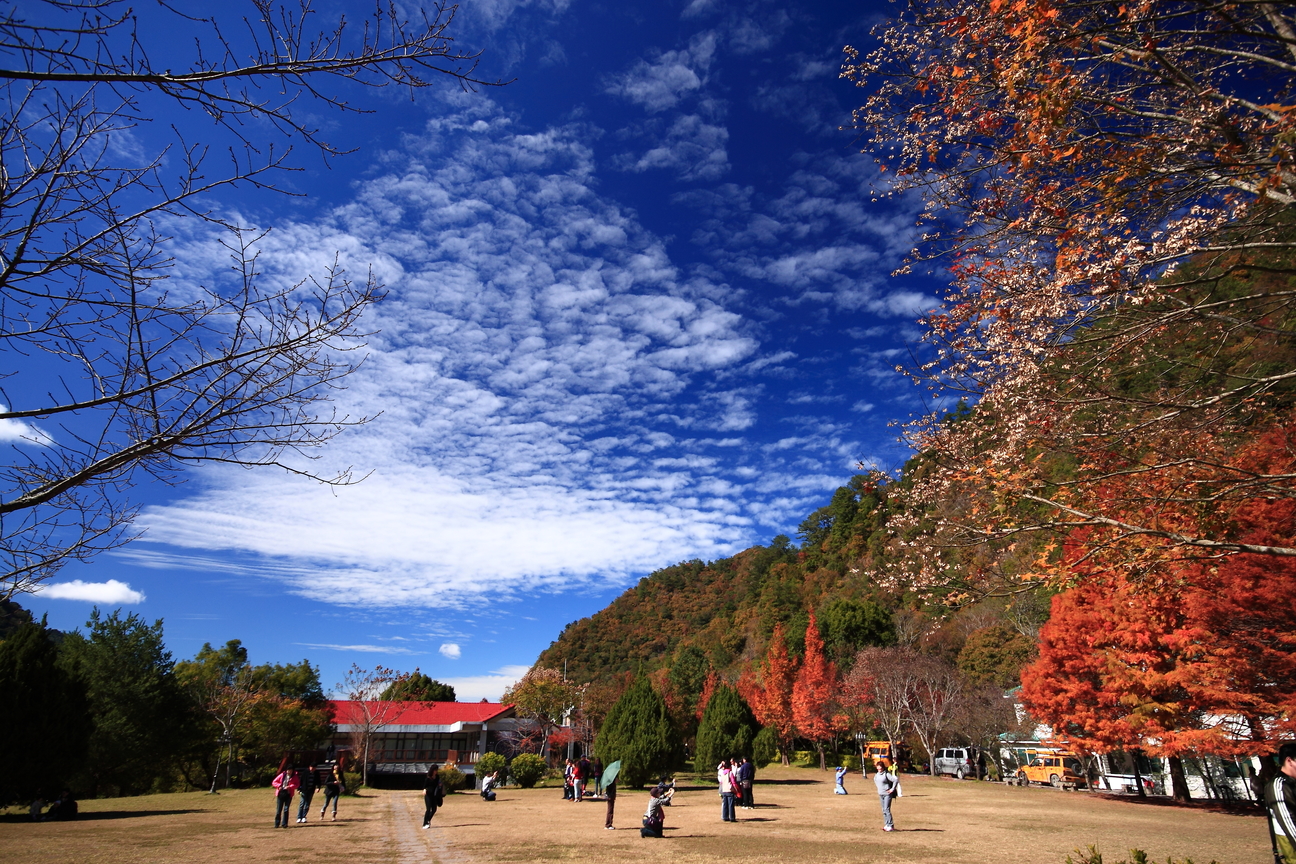 南投縣仁愛鄉－奧萬大楓情