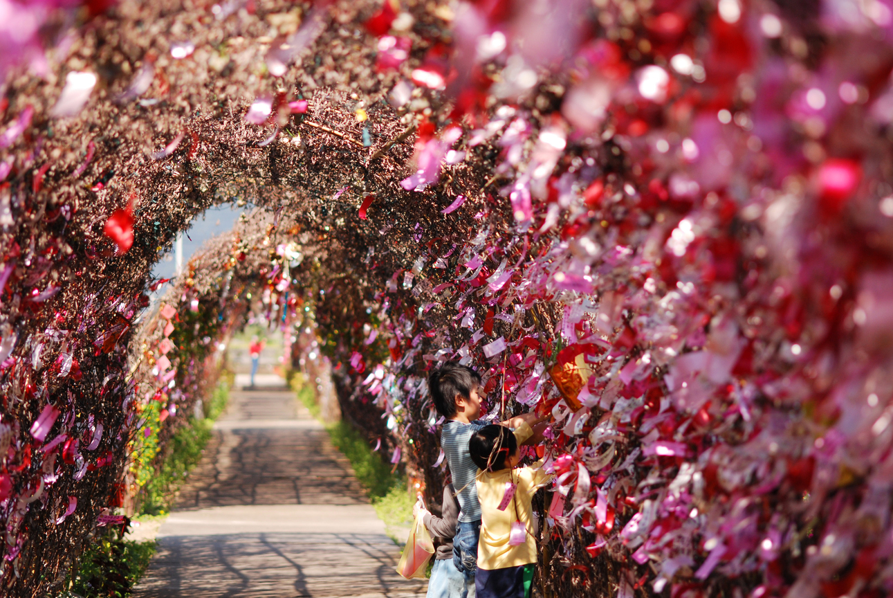 宜蘭縣三星鄉－銀柳隧道