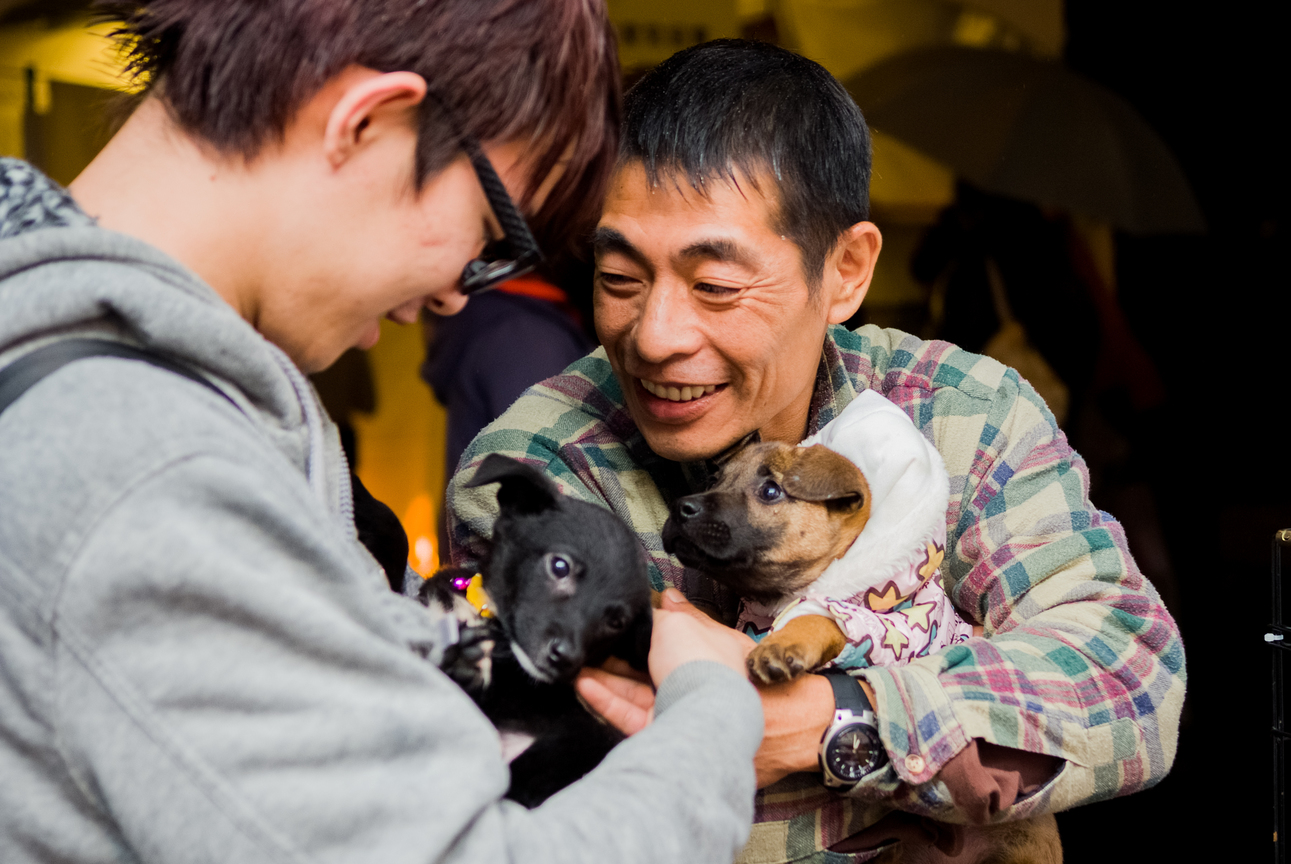 以領養代替購買