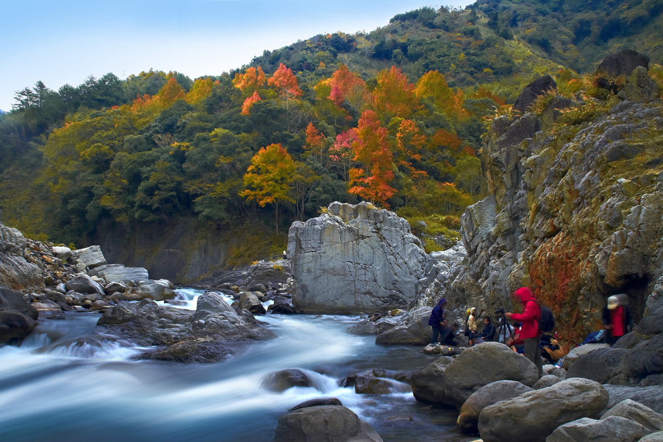 新竹縣尖石鄉－秀鑾楓情