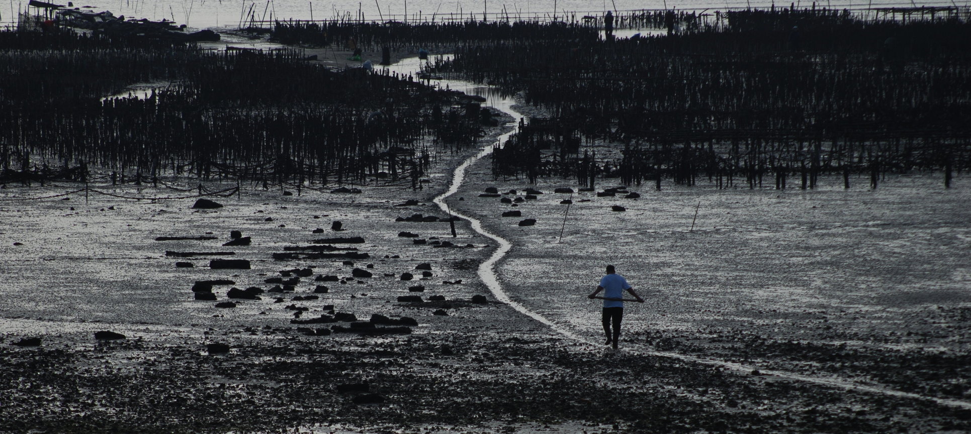 蚵路<BR>圖．文/陳旺展