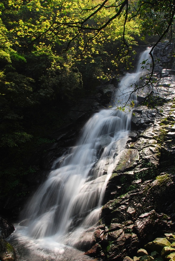 這十年中的攝影旅遊鏡頭 -青山瀑布<BR>圖．文/游輝任