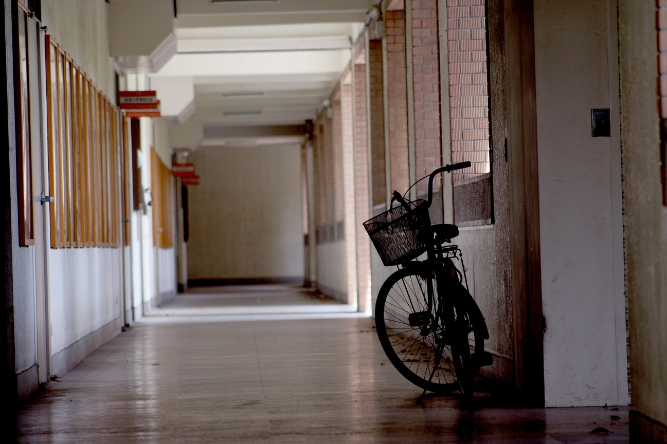 等待主人的歸來