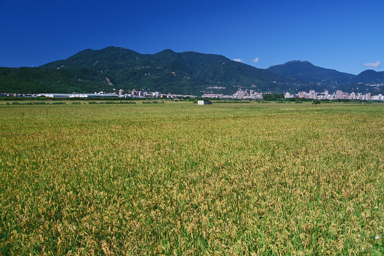 城市的養分