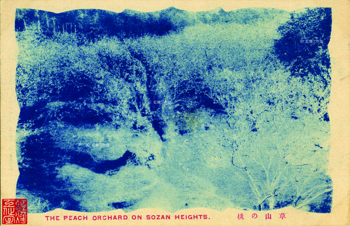 草山之桃