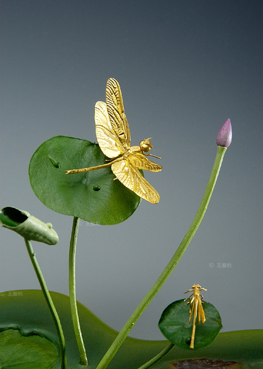 荷花（一） 局部