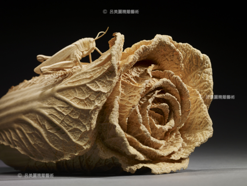 菜根香  Fragrant Root (Cabbage)  (局部)