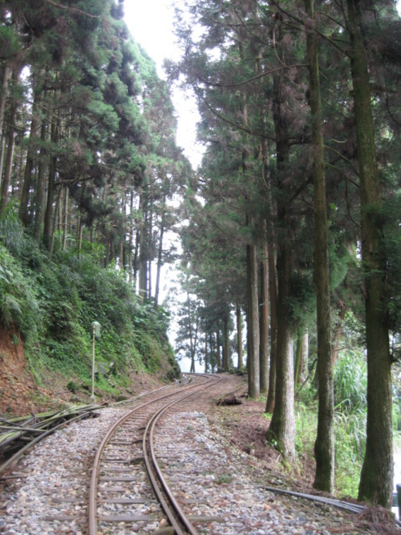 阿里山鐵道－奮起湖路段