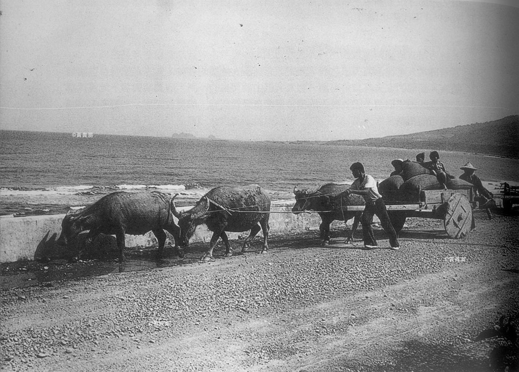 牛車(搬運稻米)