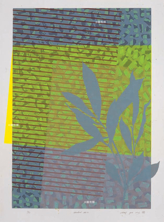 Window系列 Window Series