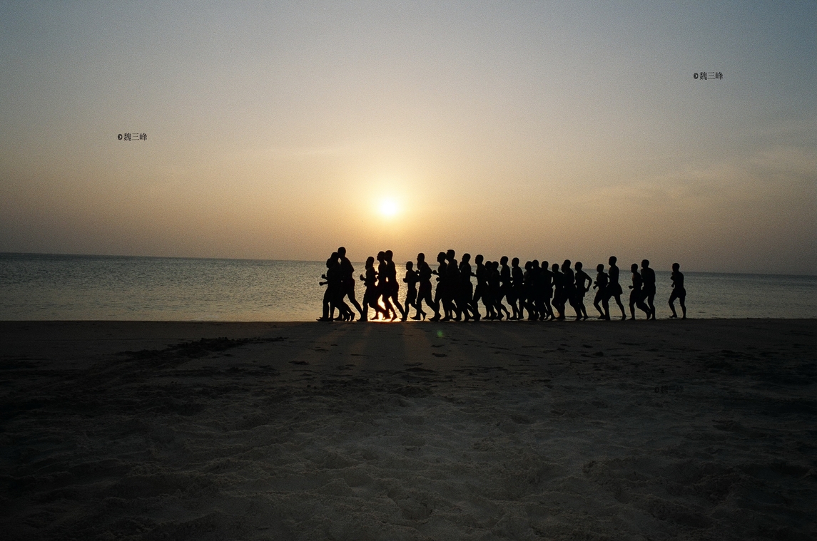 夕陽下的海龍蛙兵