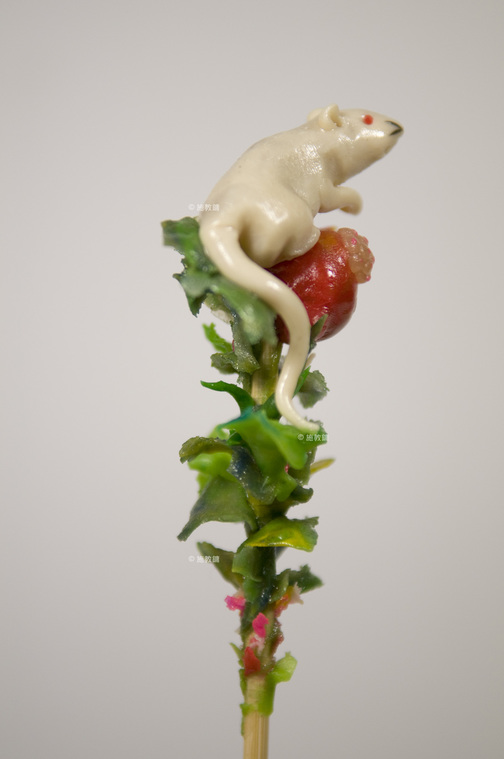 老鼠石擂(多子)