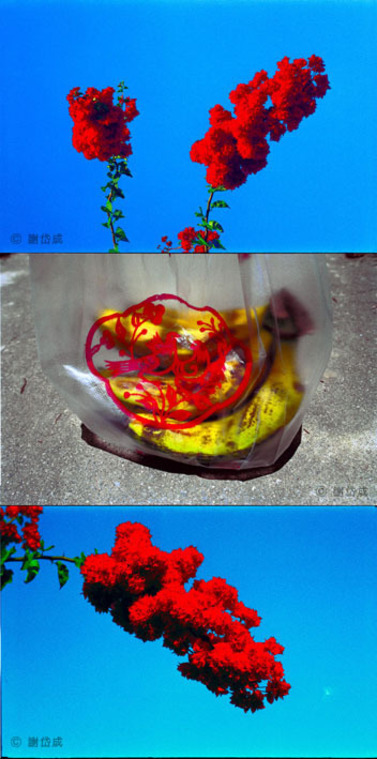 Grain and Frame  My Memory