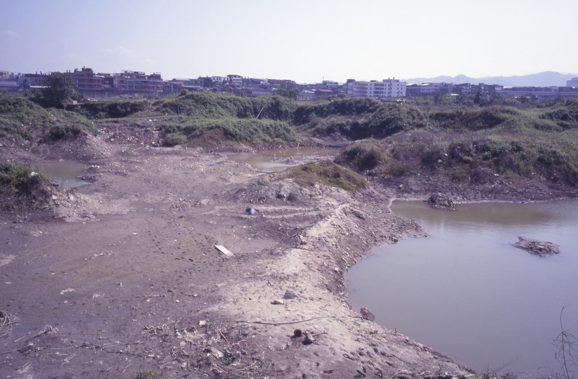 大漢溪岸有害廢棄物汙染